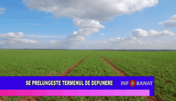 Se prelungește termenul de depunere