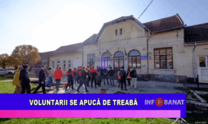 Voluntarii se apucă de treabă