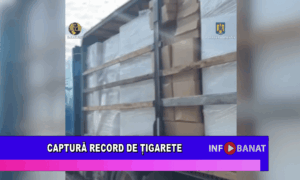 Captură record de țigarete