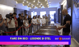 Fiare din beci – legende și oțel