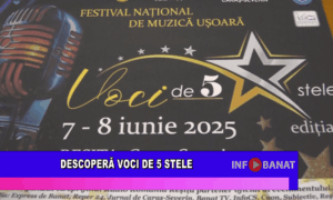 Descoperă vocile de 5 stele