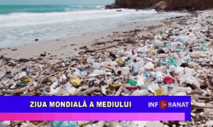 Ziua Mondială a Mediului