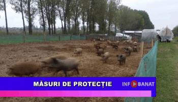 Măsuri de protecție