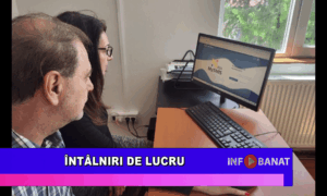 Întâlniri de lucru