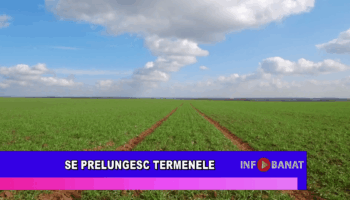 Se prelungesc termenele