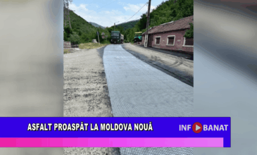 Asfalt proaspăt la Moldova Nouă