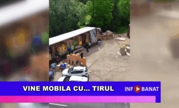 Vine mobila cu… tirul