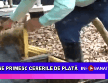 Se primesc cererile de plată