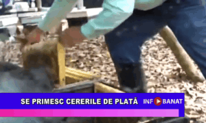 Se primesc cererile de plată
