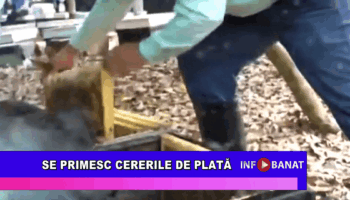 Se primesc cererile de plată