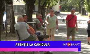 Atenție la caniculă
