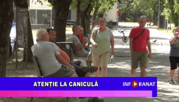 Atenție la caniculă