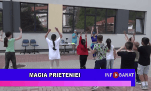 Magia prieteniei