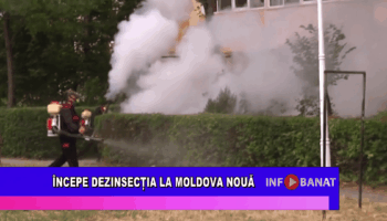 Începe dezinsecția la Moldova Nouă