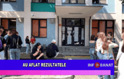 Au aflat rezultatele