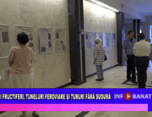 Pomi fructiferi, tuneluri feroviare și tuburi fără sudură