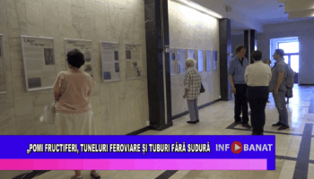 Pomi fructiferi, tuneluri feroviare și tuburi fără sudură
