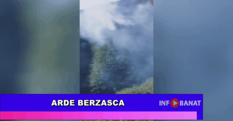 Arde Berzasca