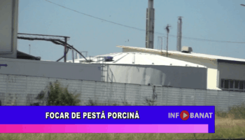 Focar de pestă porcină