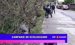 Campanie de ecologizare
