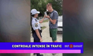 Controale intense în trafic