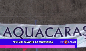 Posturi vacante la AquaCaraș