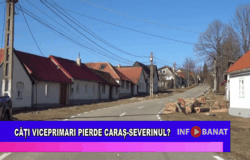 Câți viceprimari pierde Caraș-Severinul?