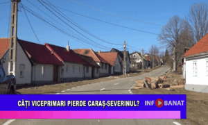 Câți viceprimari pierde Caraș-Severinul?