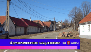 Câți viceprimari pierde Caraș-Severinul?