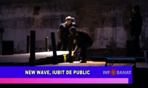 New Wave, iubit de public