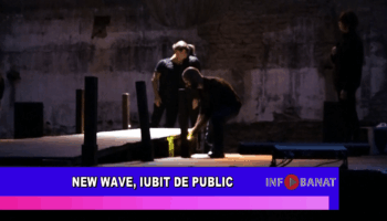 New Wave, iubit de public