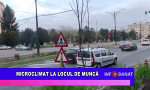 Microclimat la locul de muncă