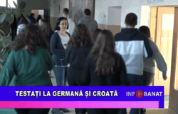 Testați la germană și croată