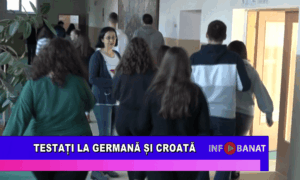 Testați la germană și croată
