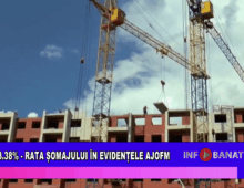 3,38%   rata șomajului în evidențele AJOFM