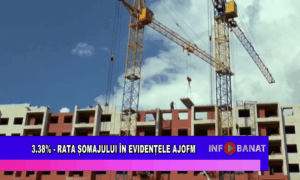 3,38%   rata șomajului în evidențele AJOFM