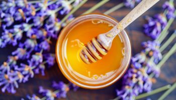 Produsele apicole neprocesate un izvor de sănătate