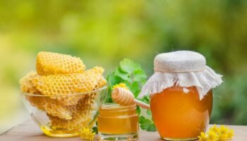 Mierea  –  un aliment terapeutic