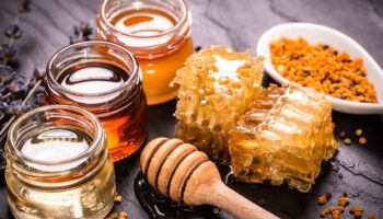 Produsele apicole, o minune a naturii