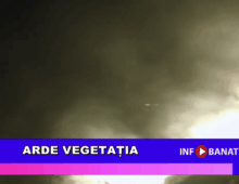Arde vegetația
