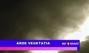 Arde vegetația