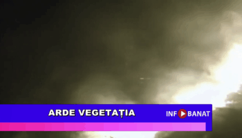 Arde vegetația