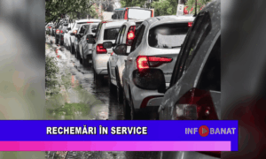 Rechemări în service