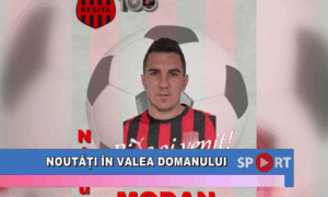 Noutăți în Valea Domanului