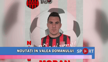 Noutăți în Valea Domanului