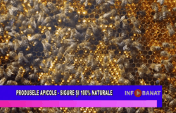 Produsele apicole – sigure și 100% naturale