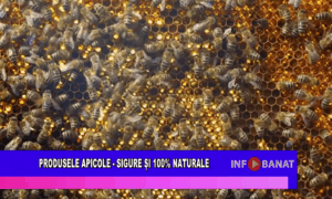 Produsele apicole – sigure și 100% naturale