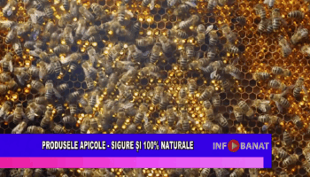 Produsele apicole – sigure și 100% naturale