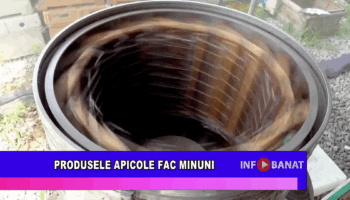 Produsele apicole fac minuni