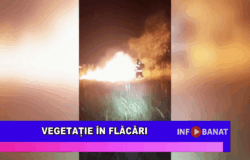 Vegetație în flăcări